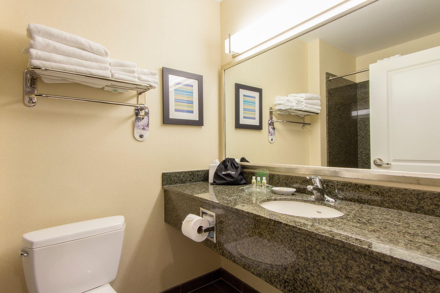 Holiday Inn Hotel and Suites Scottsdale North Airp-United States-SCOTTSDALE-Room-10