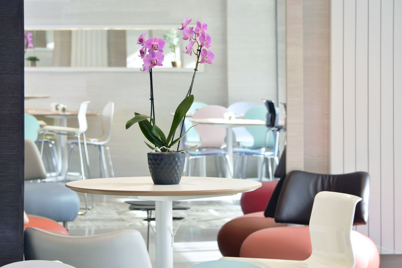 Des-Alpes-Geneva-Lobby-4