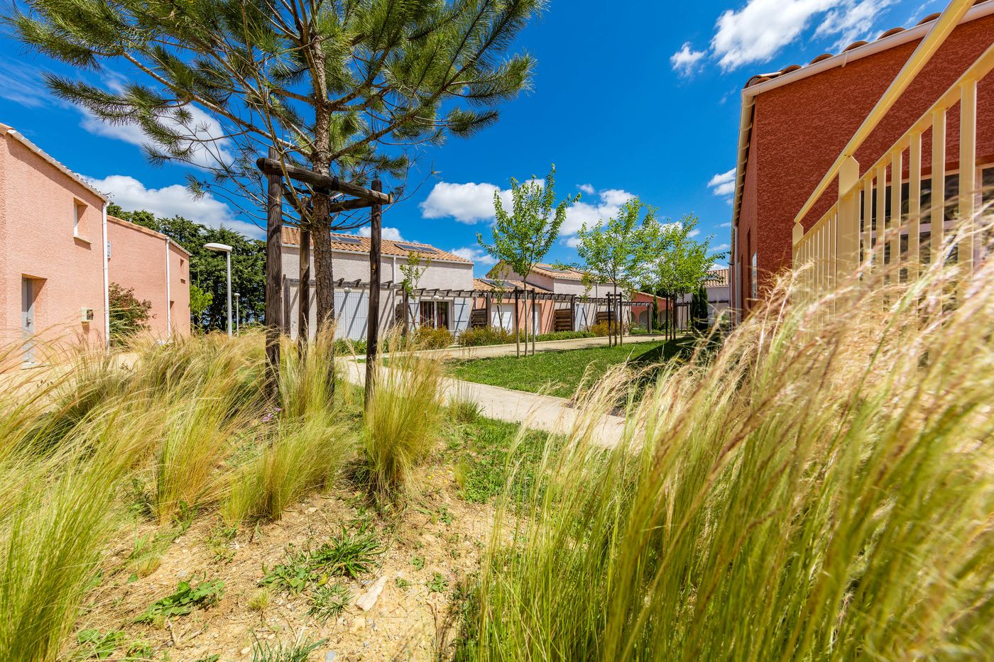Le Domaine De Bacchus - Terres de France - France - SAINT CHRISTOL ENTRE VIGNES - General view - 4