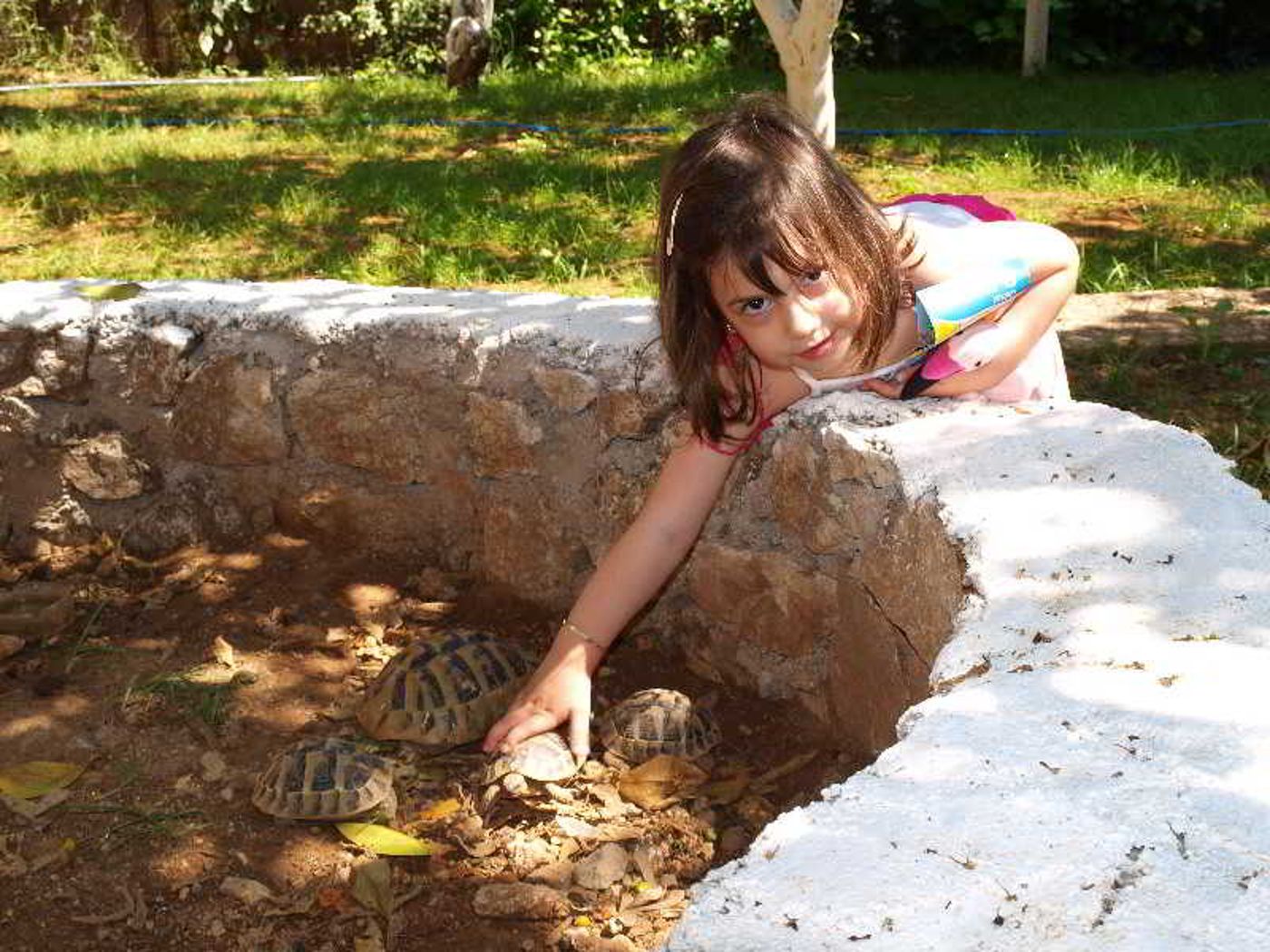 Fouxia-Apartments-and-Studios-Pool-59