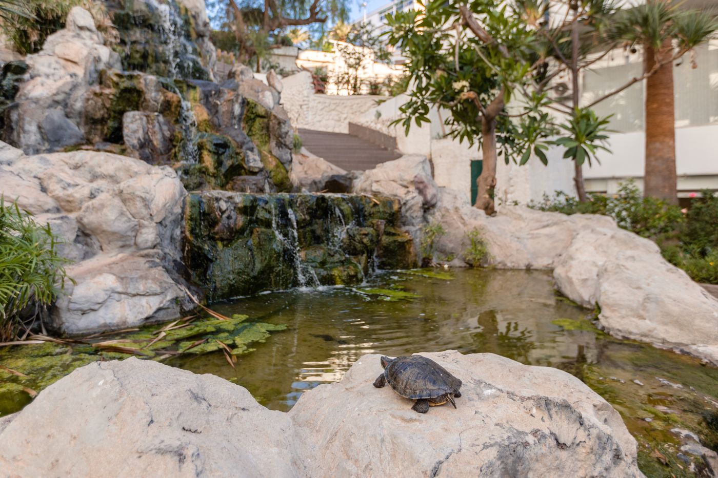 Catalonia-Punta-del-Rey-General-view-20