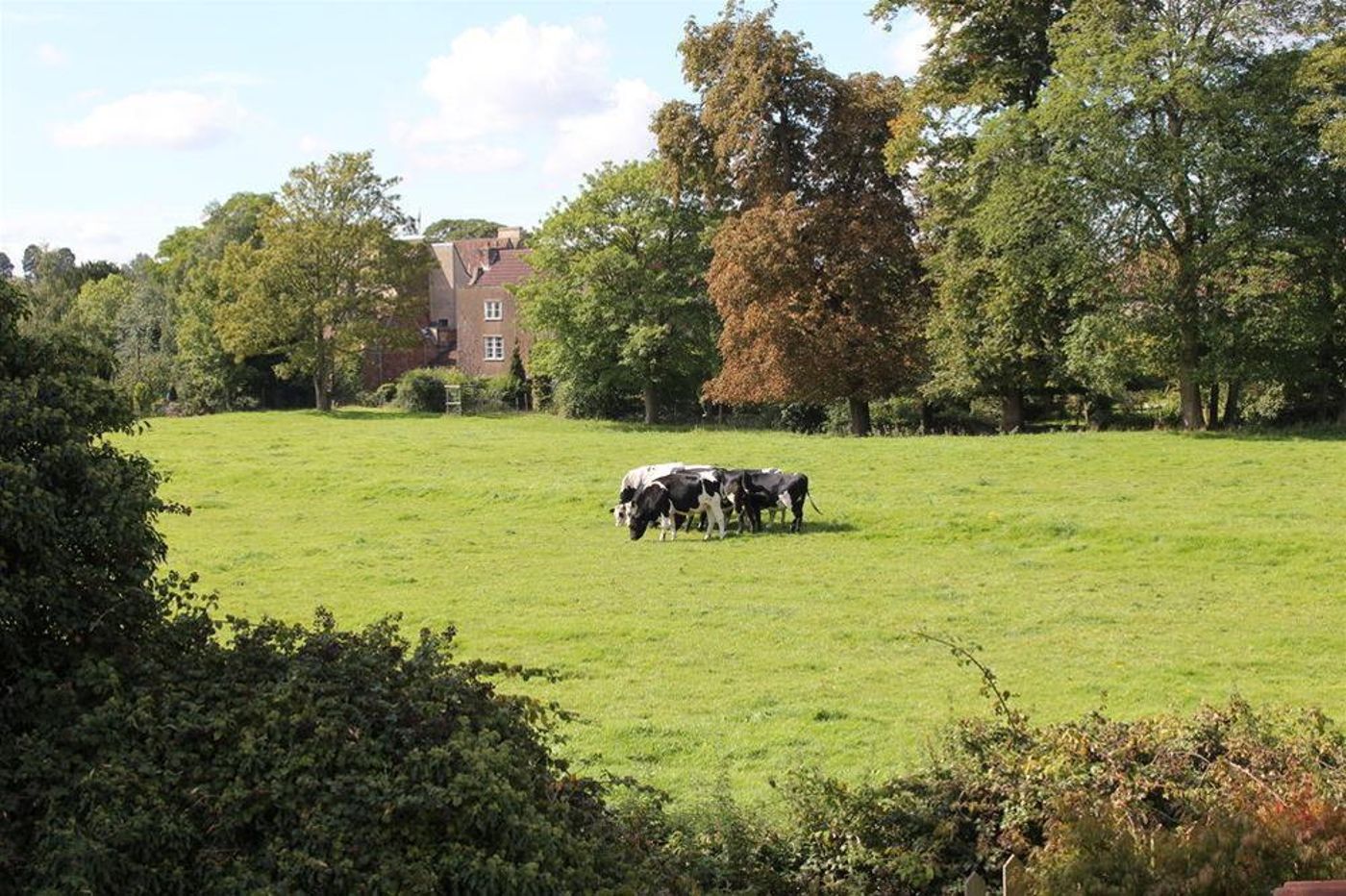The Coach House-United Kingdom-Hambrook-General view-9
