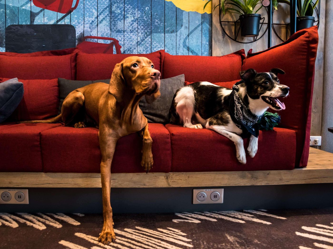 ibis Vilnius Centre-Lithuania-VILNIUS-General view-9