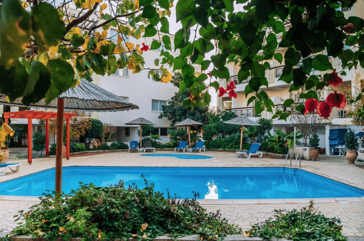 Artemis Cynthia Complex