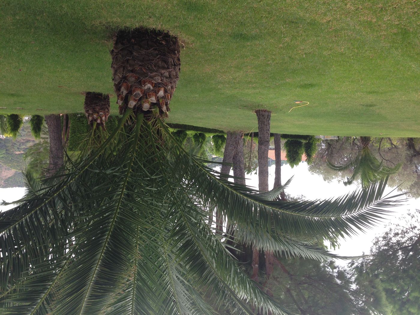 Villa-Xanthippi-General-view-24