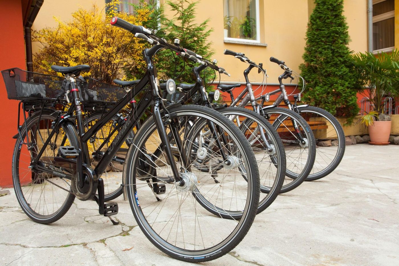 Hotel-Pension-Kastanienhof-Sports-and-Entertainment-4