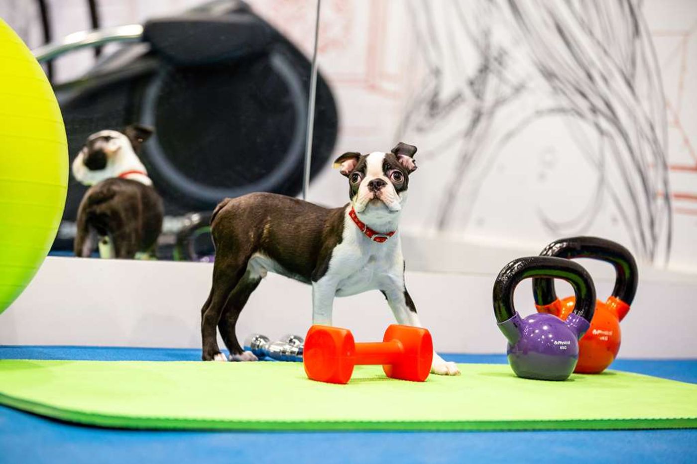 Radisson RED Hotel, Glasgow-United Kingdom-Glasgow-General view-8