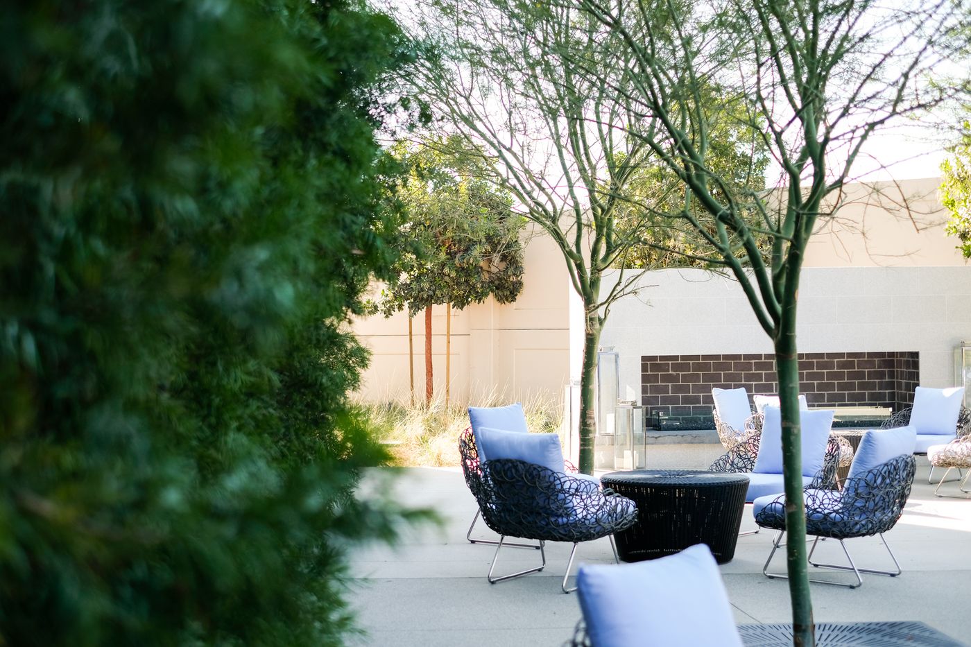 The-Viv-Hotel--Anaheim--a-Tribute-Portfolio-Hotel-Pool-73