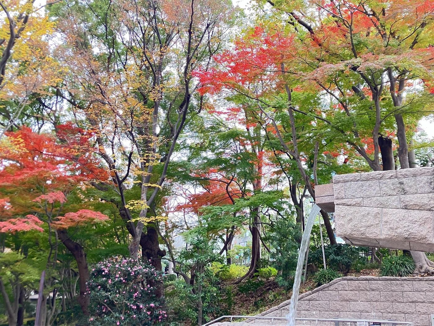 Tokyo Marriott Hotel-Japan-Shinagawa Ku-General view-6