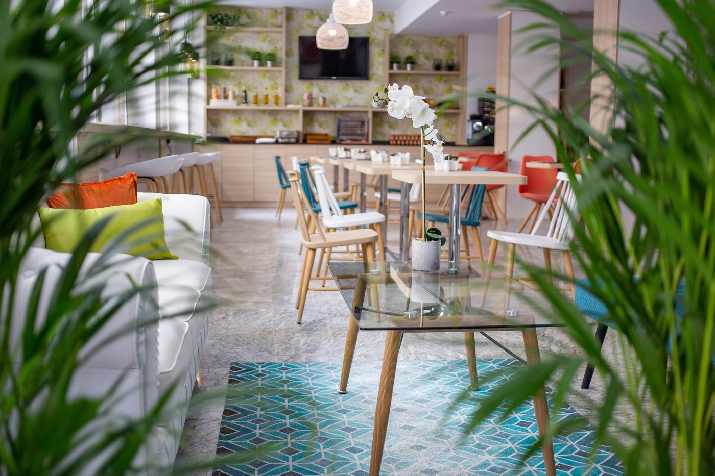 Soho-Bah--a-M--laga-Restaurant-59