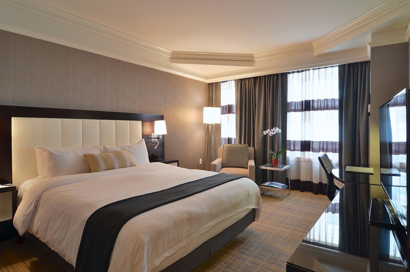 Loews-Boston-Hotel-Room-8