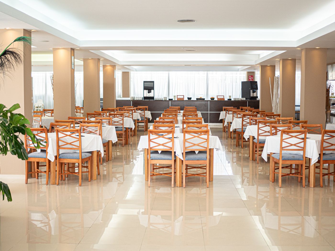 Moon Dreams Atlantic