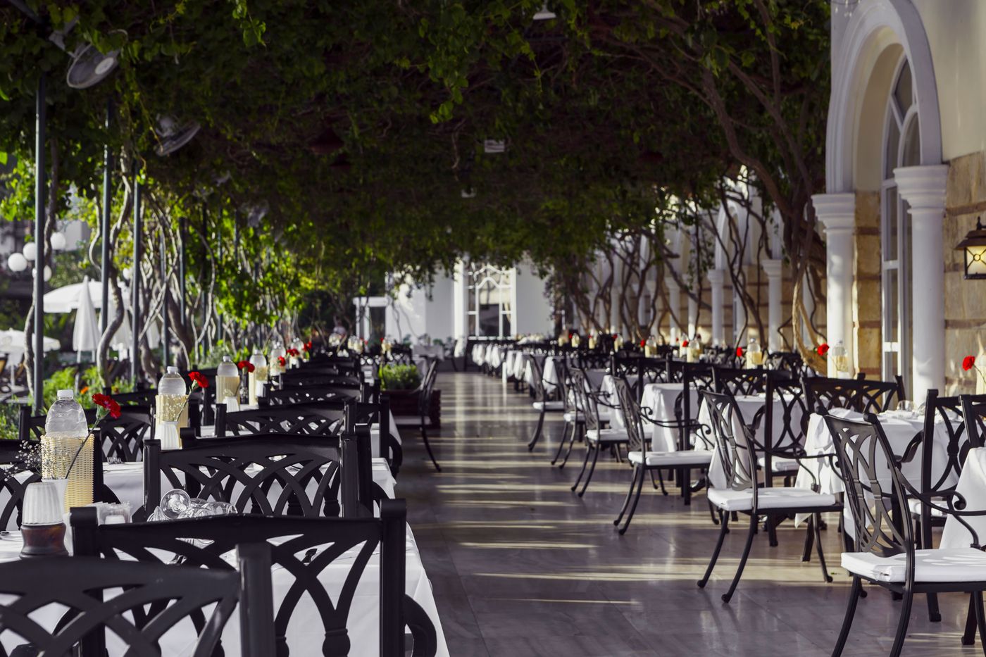 Selectum-Family-Resort-Restaurant-23