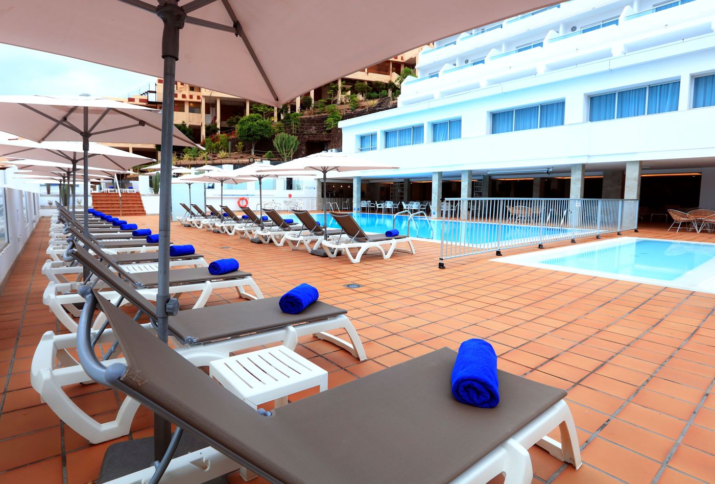 Lemon & Soul Cactus Garden