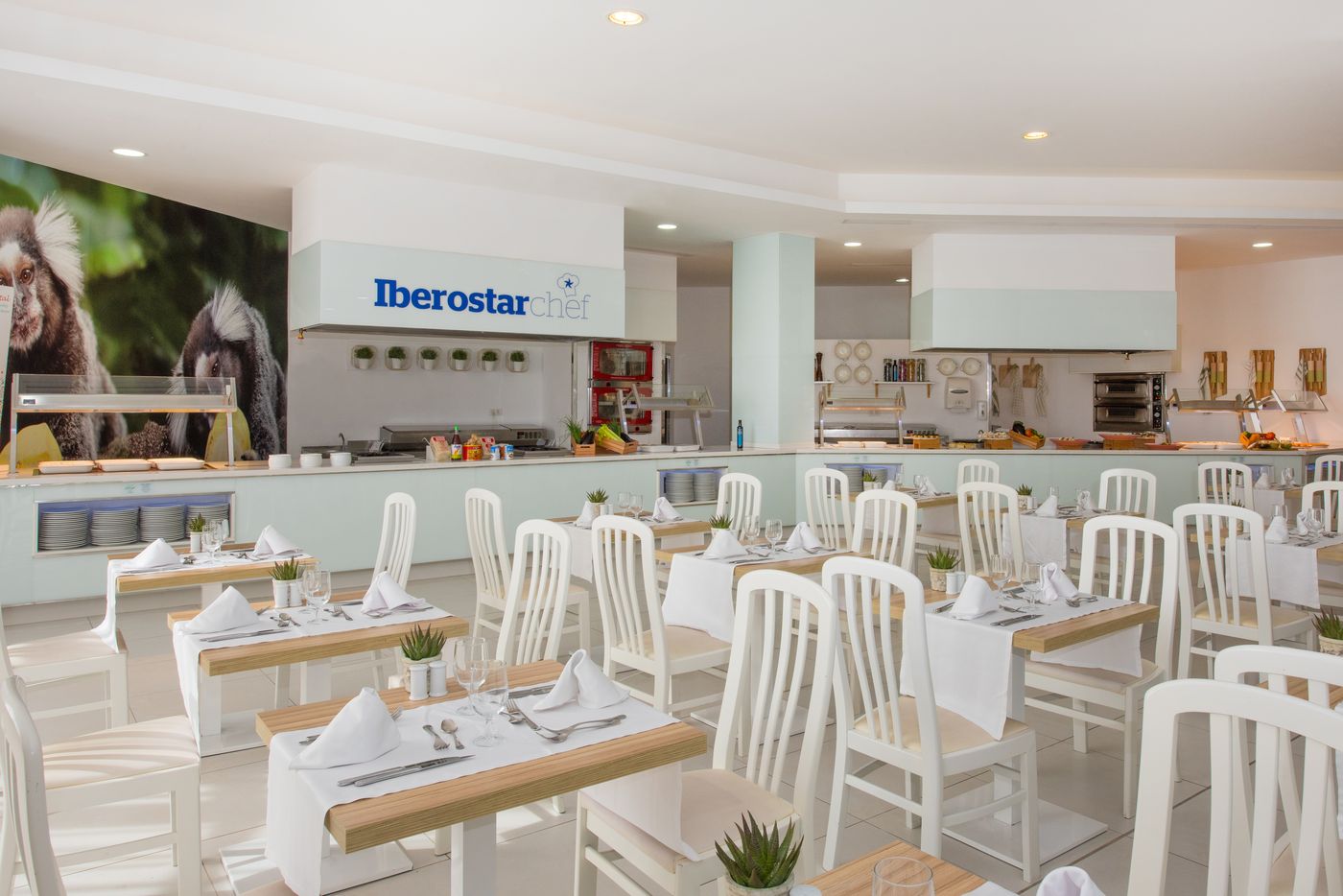Iberostar-Waves-Bouganville-Playa-Restaurant-31