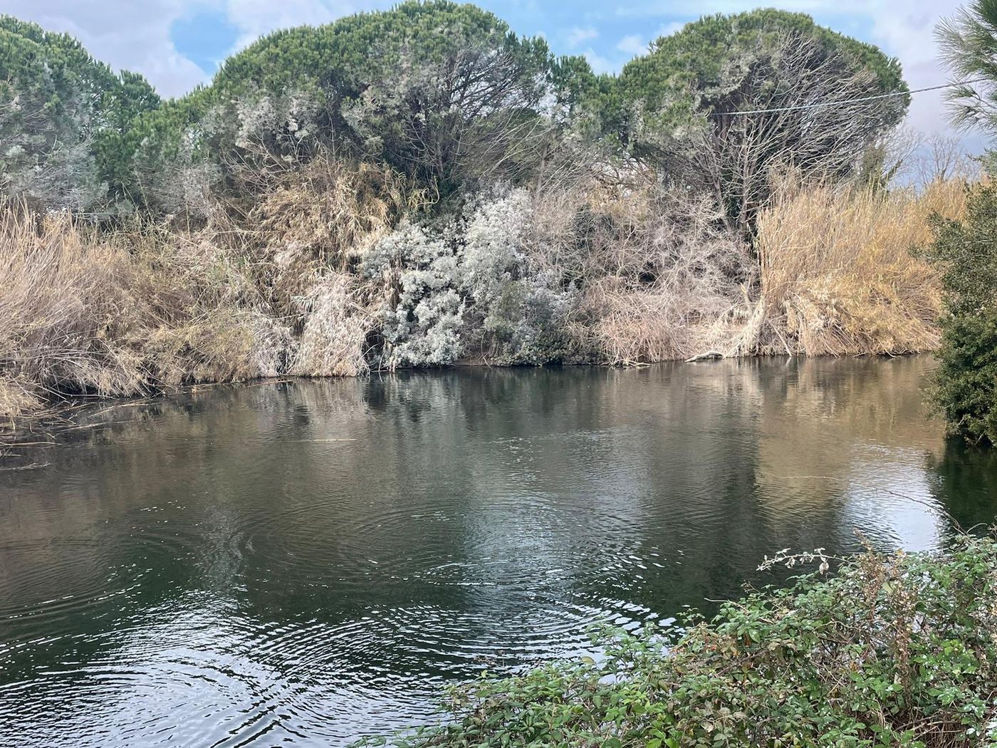 La-Canova-II-Room-33