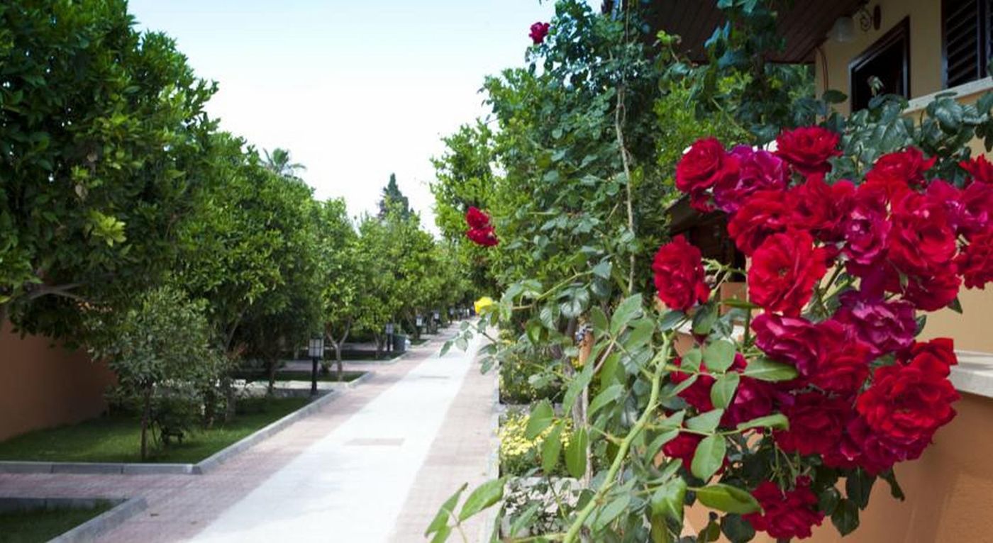 Ozlem-Garden-Terrace-17