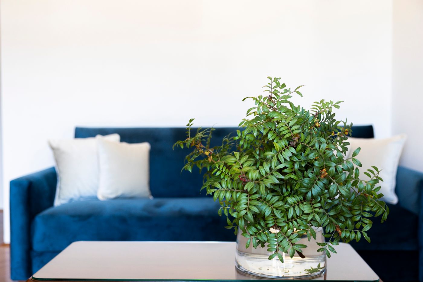 Heritage-Hotel-Tisno-Room-51