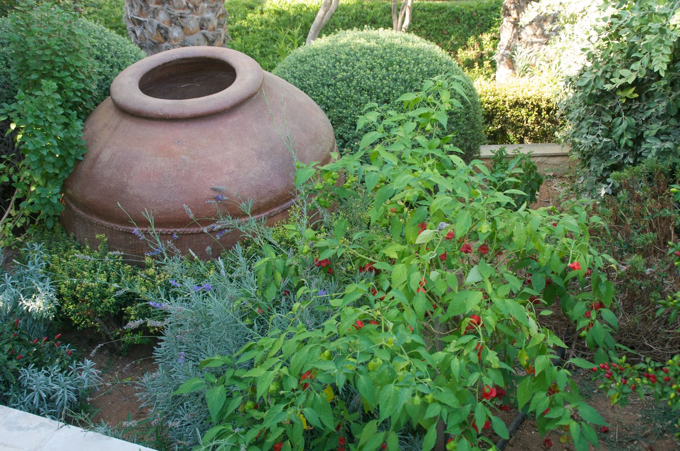 Hylatio-Tourist-Village-General-view-23