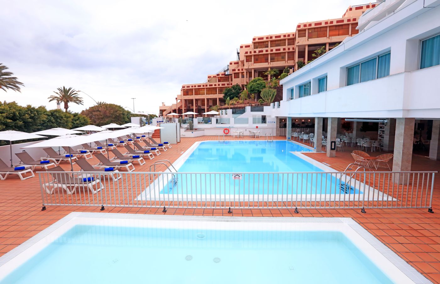 Lemon & Soul Cactus Garden