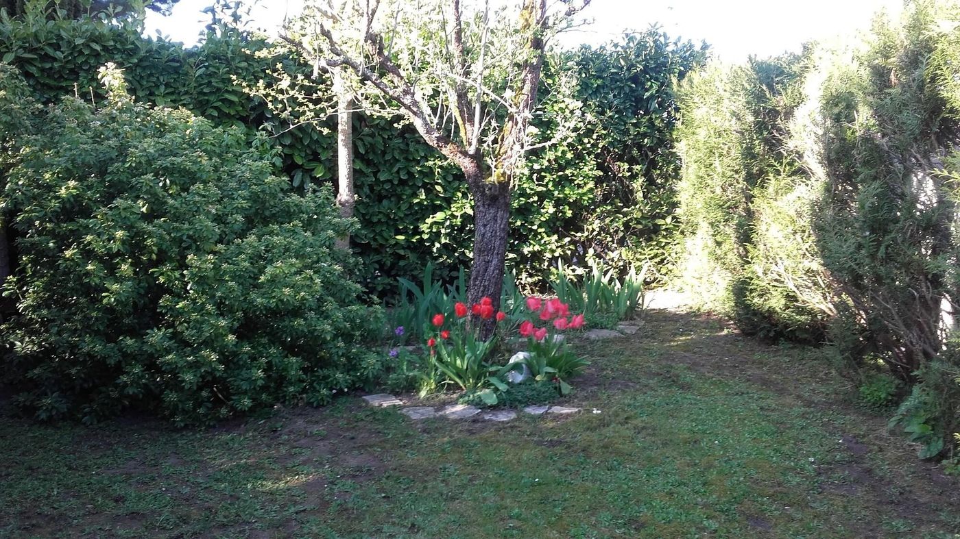 Chambre Du Jardin Fleuri-France-SAINT-AUBIN-LES-ELBEUF-General view-4