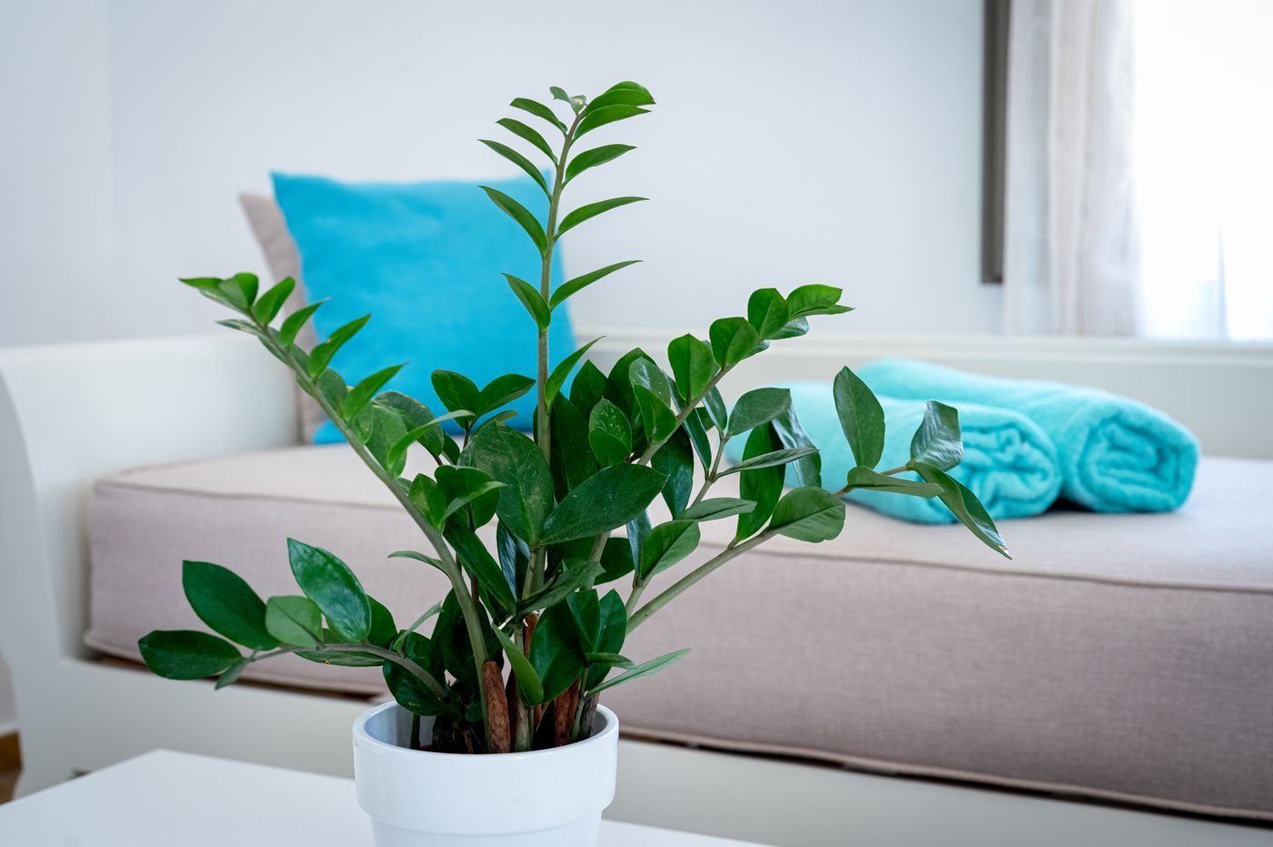 En-Plo-Boutique-Suites---Oia-Santorini-Room-47