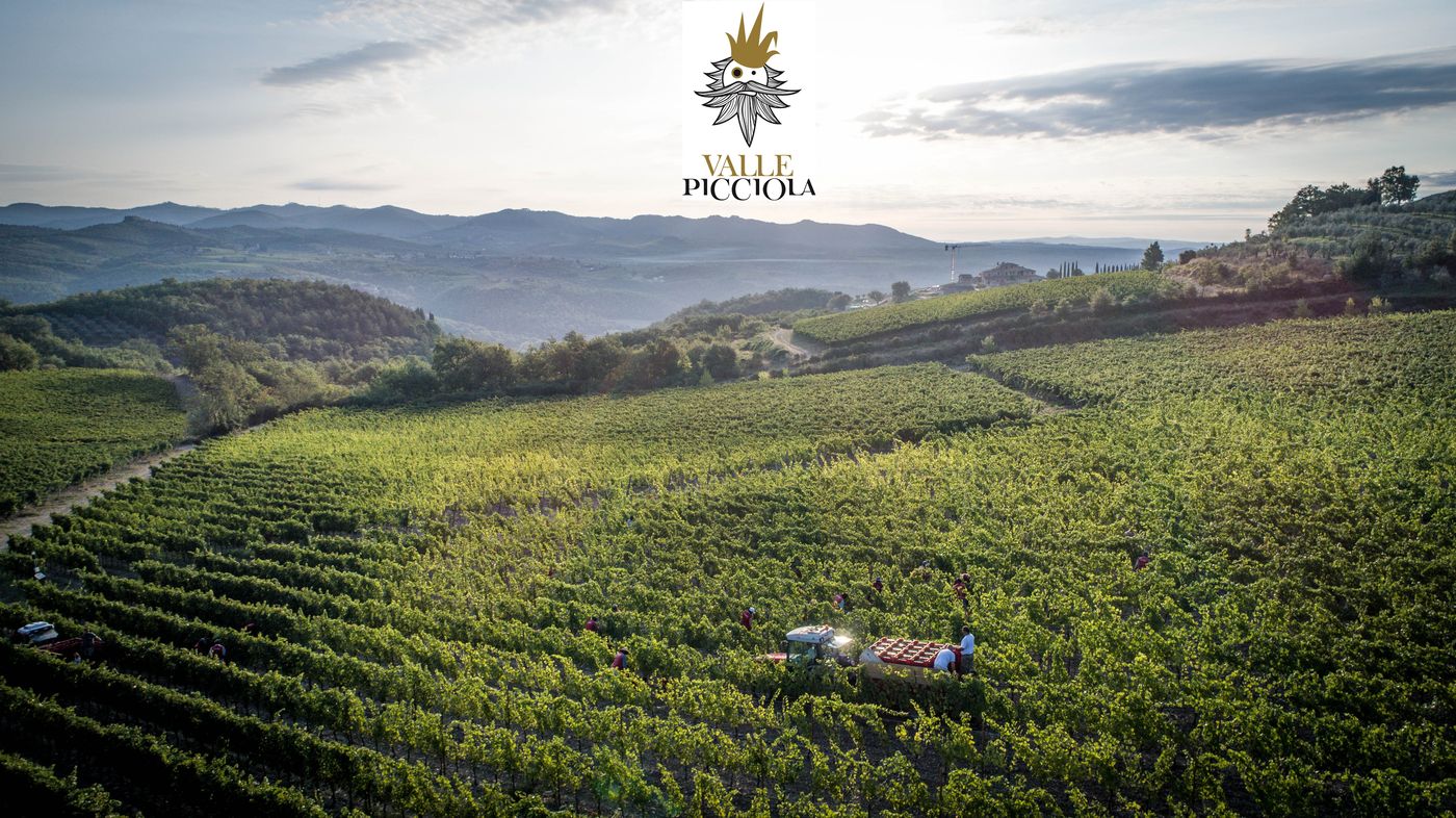 Hotel-Le-Fontanelle-General-view-50