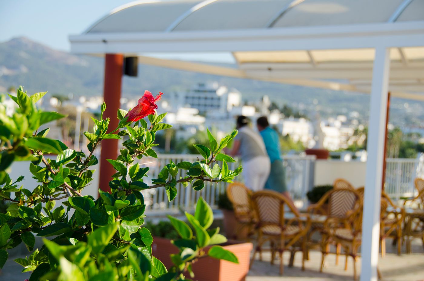 Kosta-Palace-Terrace-15