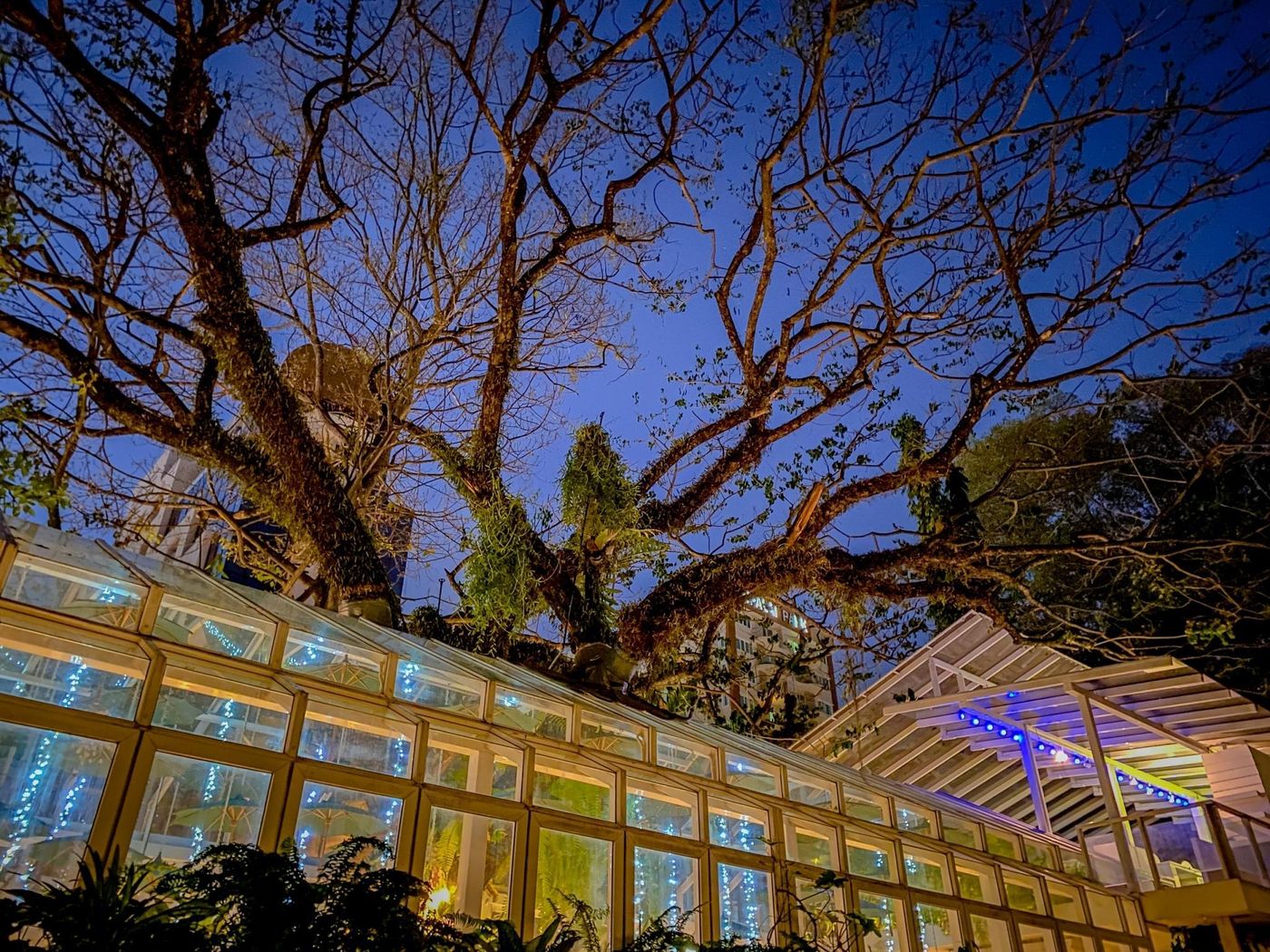 Sino-House-Phuket-Hotel-Restaurant-6