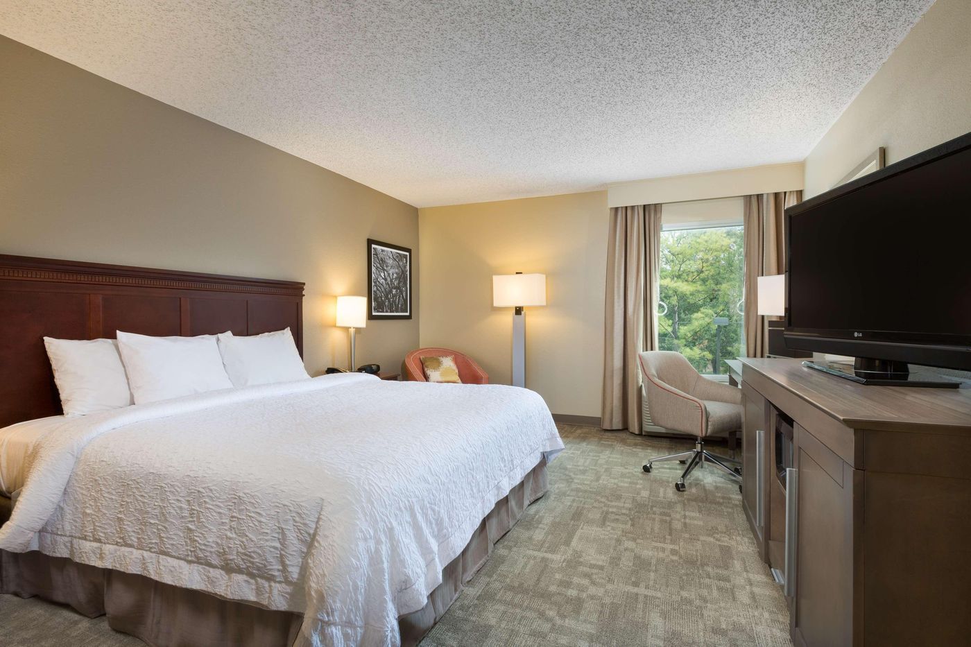 Hampton Inn Houston-Near The Galleria-United States-HOUSTON-Room-9