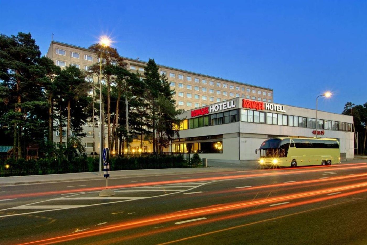 Dzingel-General-view-7