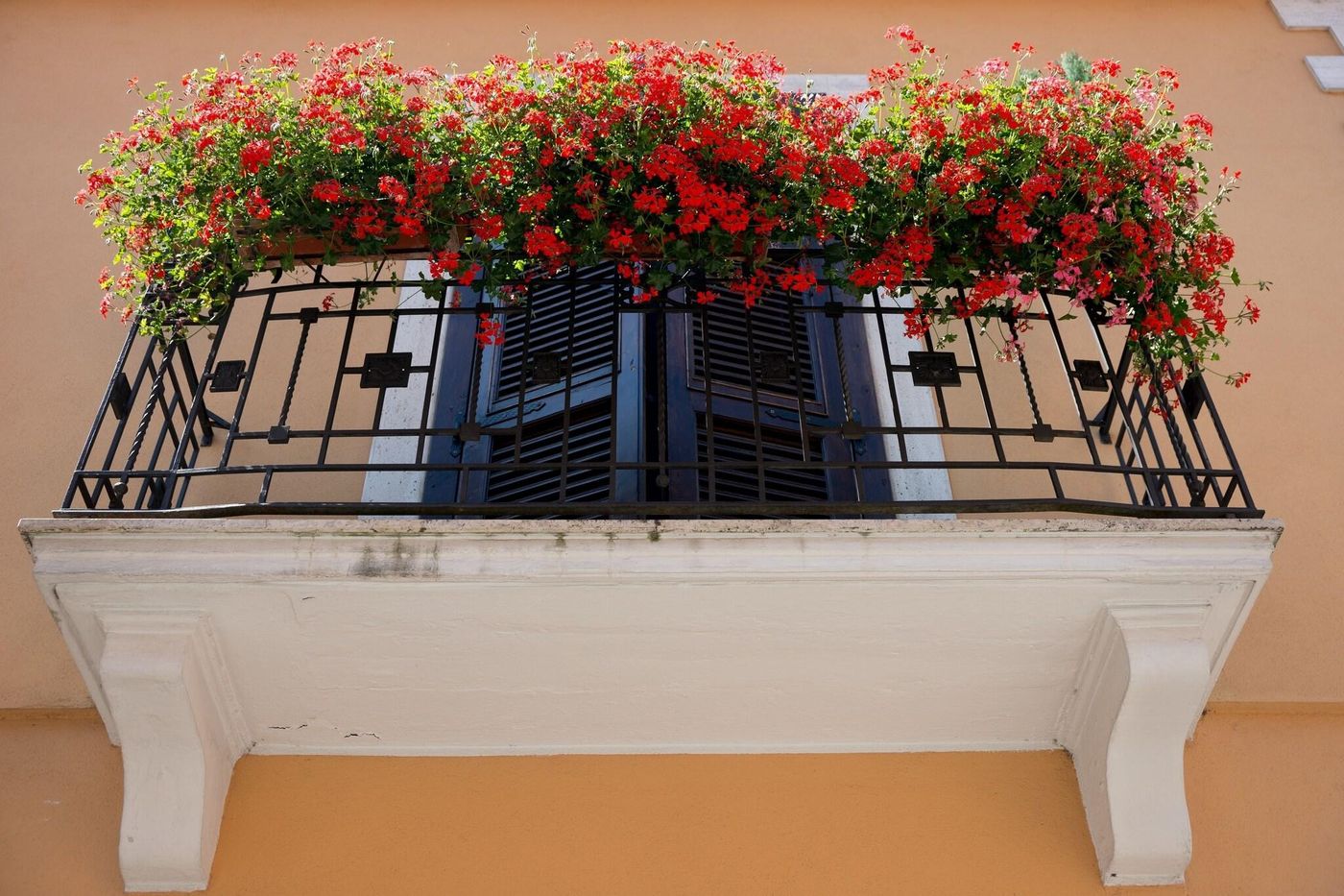 Il-Tiglio-General-view-4