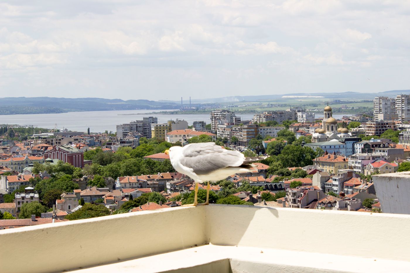 Hotel-Cherno-More-Terrace-35