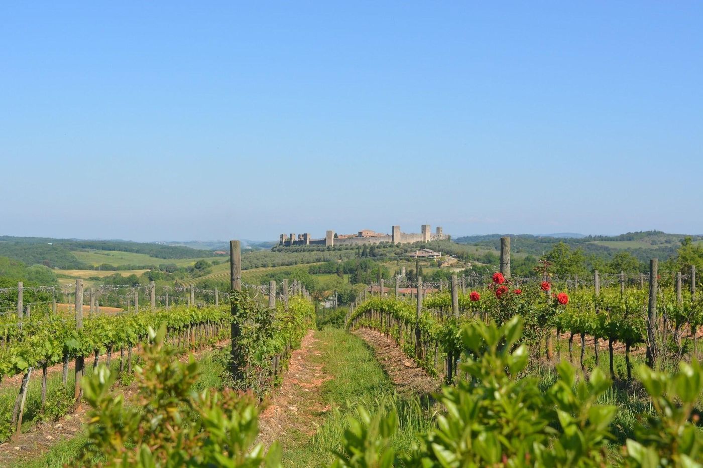 La Caminata-Italy-MONTERIGGIONI -General view-10