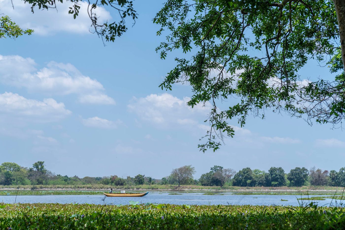 Cinnamon-Lodge-Habarana-Room-50