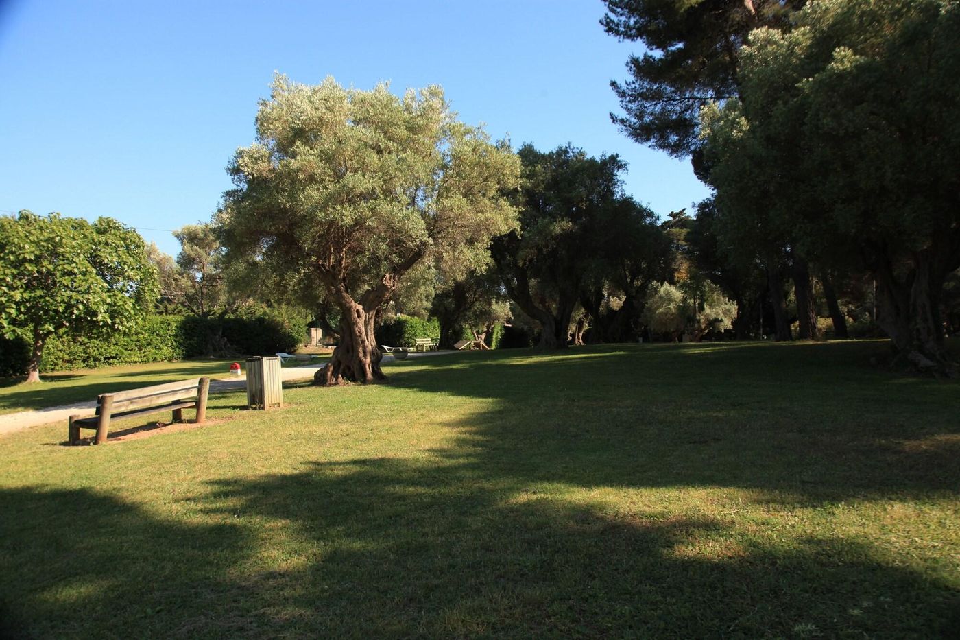Hotel Club La Font Des Horts-France-HYERES LES PALMIERS-General view-5