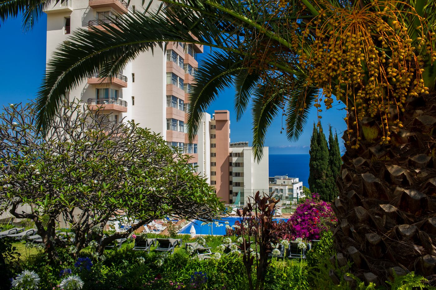 Estrelicia-Hotel-Terrace-8