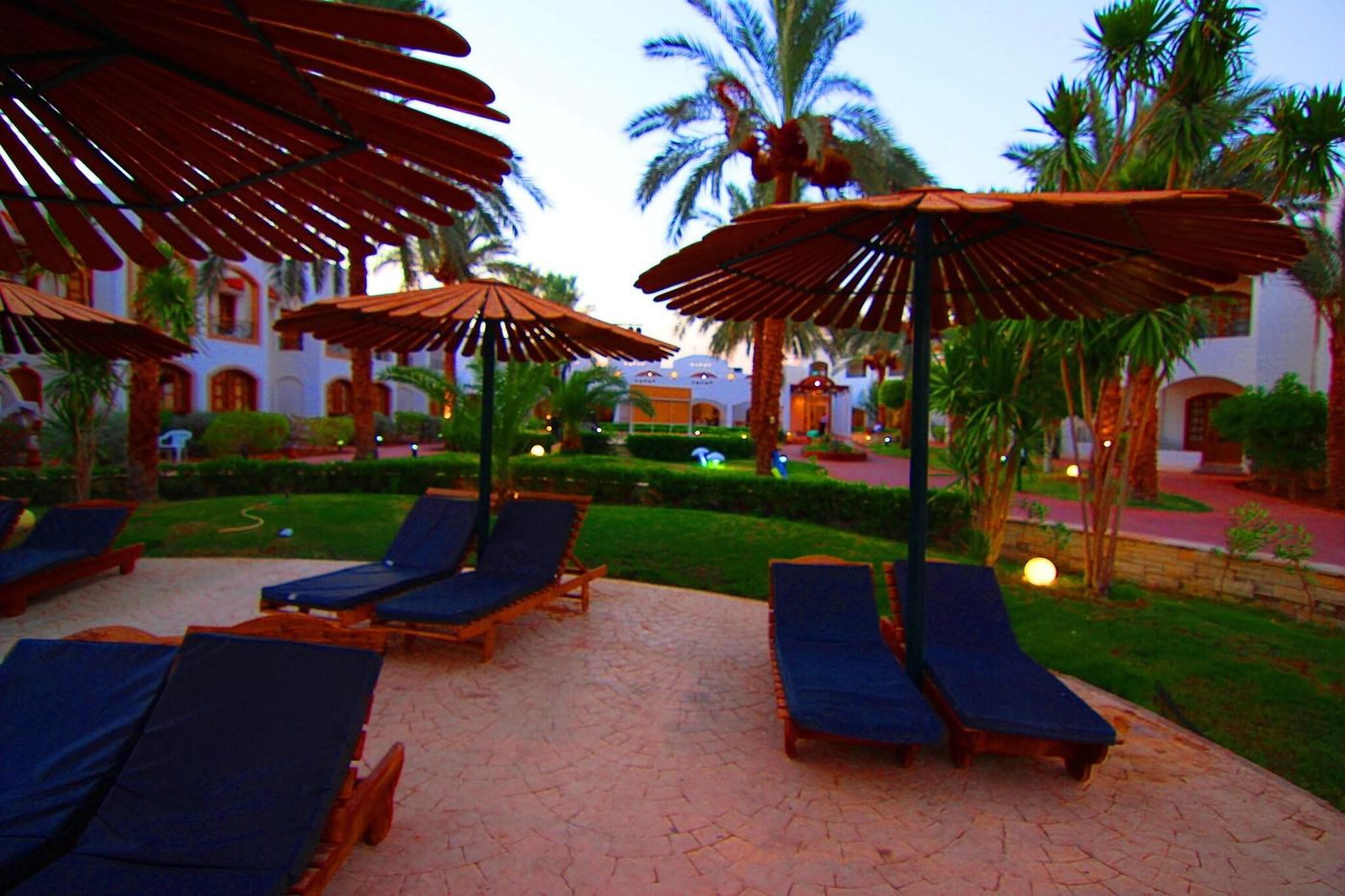 Coral-Hills-Sharm-Bar-22