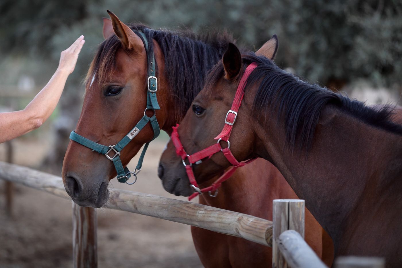 Casa-Do-Governador-Sports-and-Entertainment-52