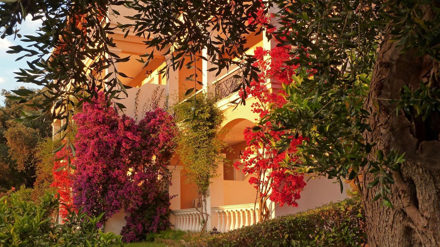 Nefeli-General-view-23