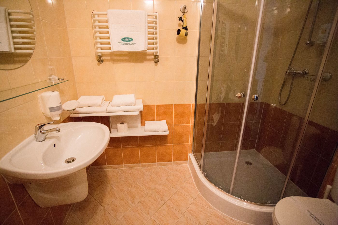 Dwor-w-Tomaszowicach-Room-39