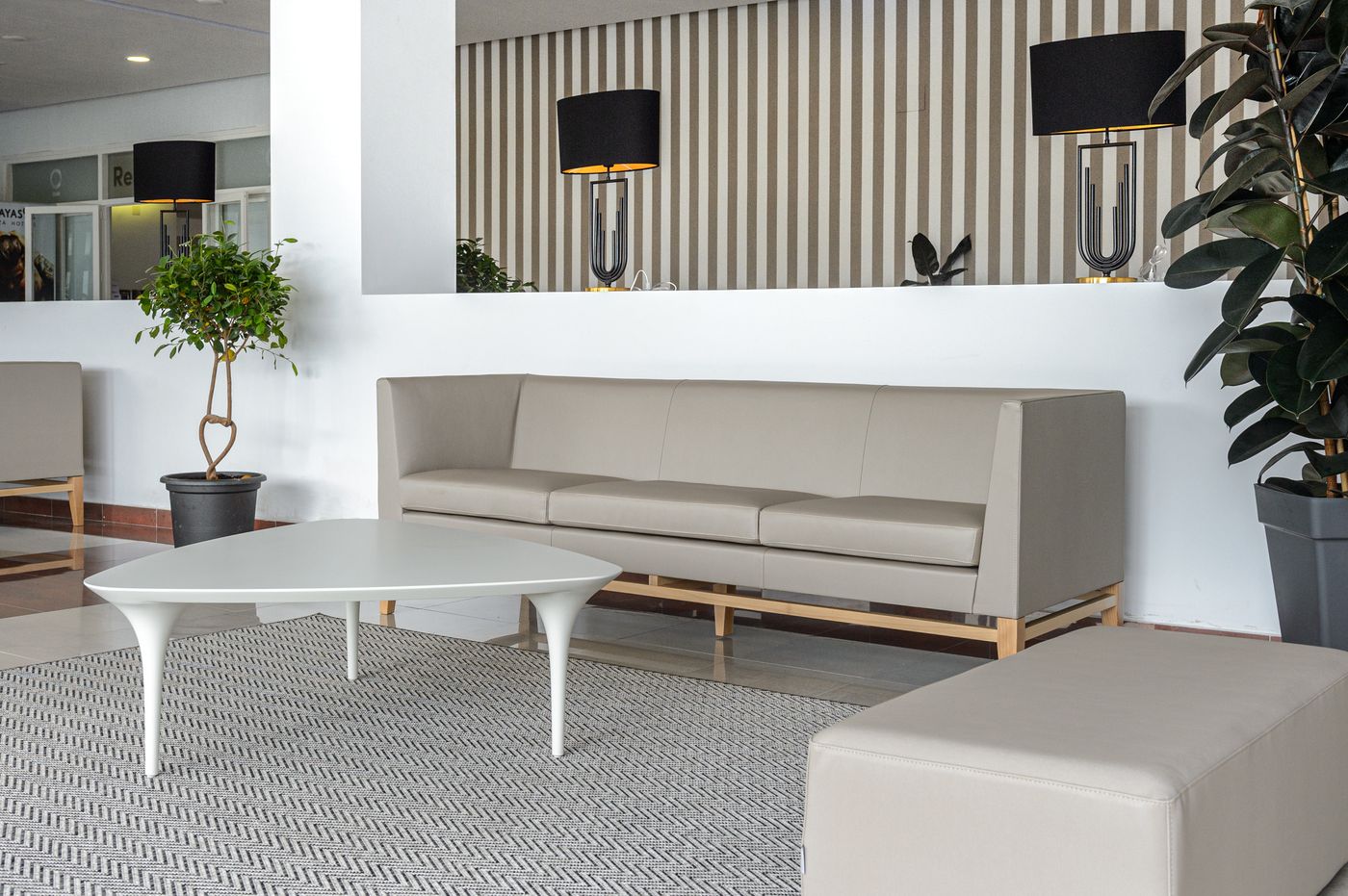 Apartamentos-Playasol-Riviera-Lobby-39