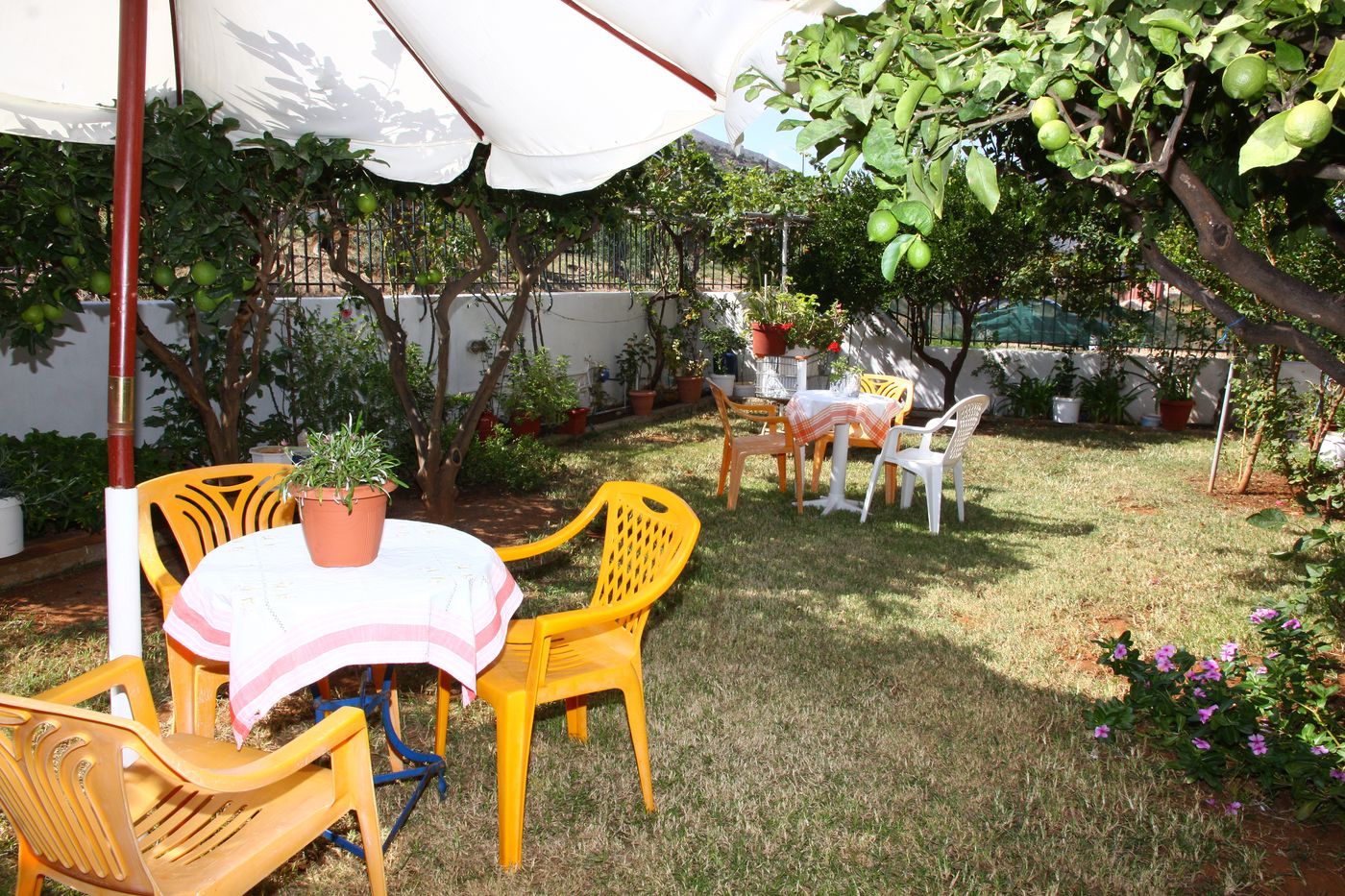 Seven Flowers Studios