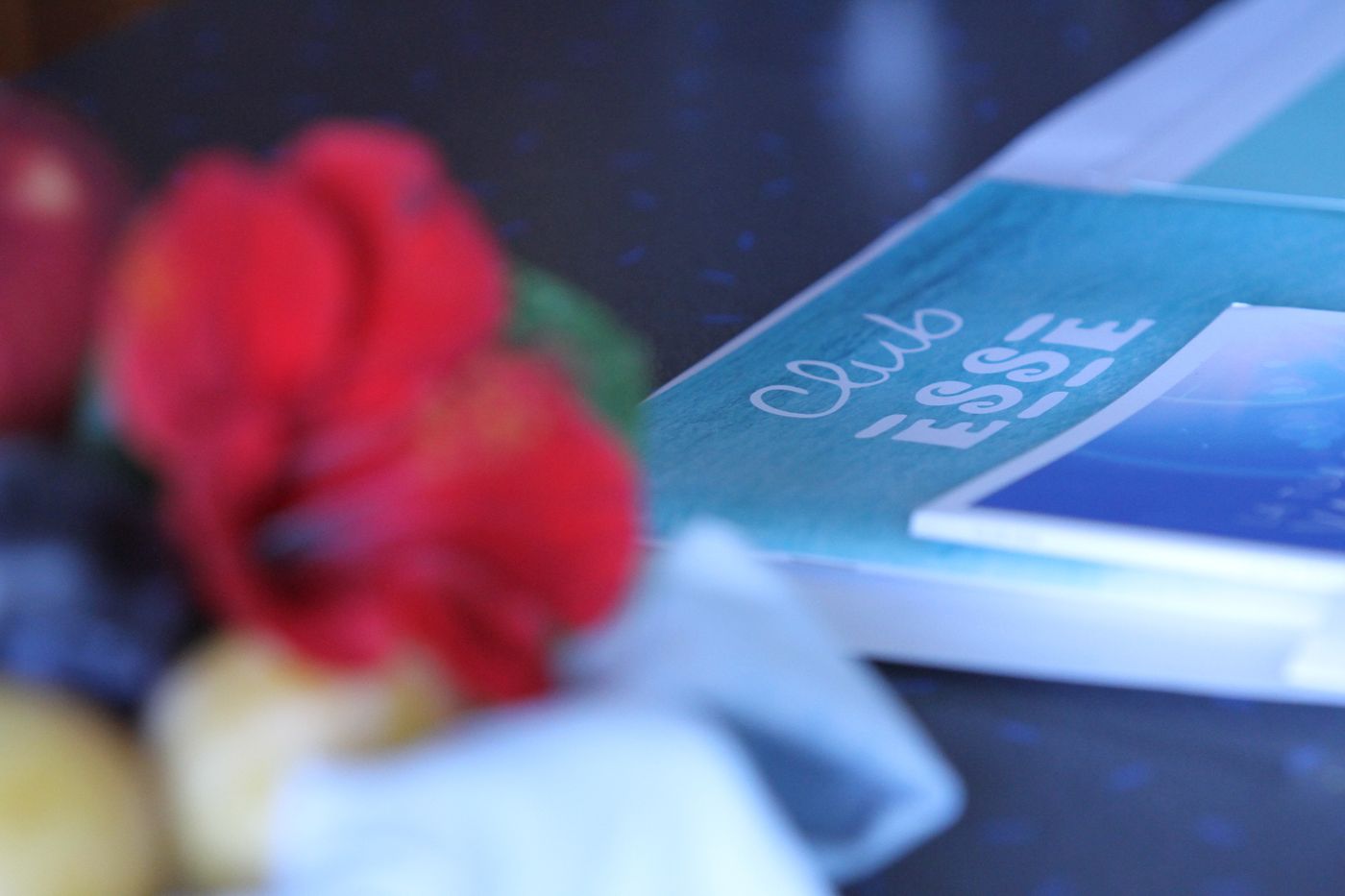 Club-Esse-Roccaruja-Lobby-26