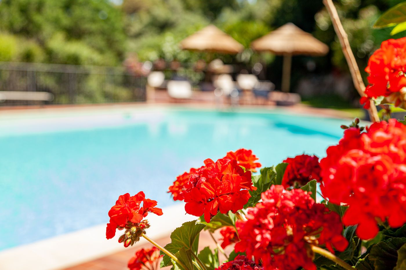 Hotel-San-Trano-Pool-21