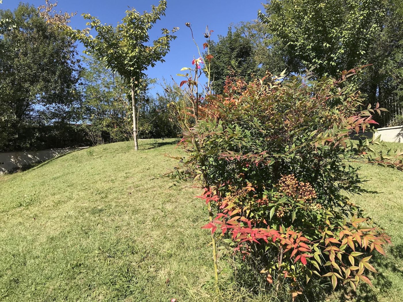 Oasi-Del-Vetoio-Room-25