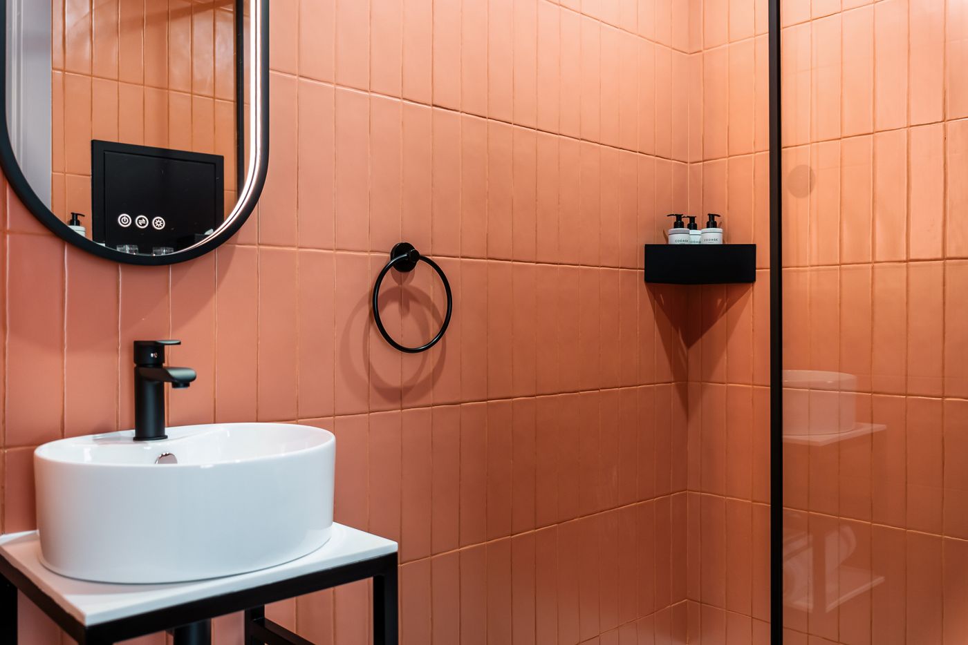 Pavillon-Louvre-Rivoli-Room-12