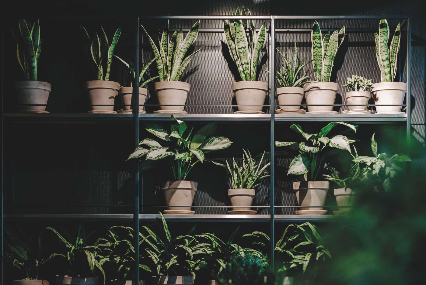 Vienna-House-by-Wyndham-Mokotow-Warsaw-Restaurant-20