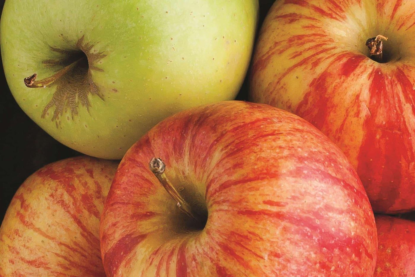 La Quinta Inn & Suites Atlanta - Perimeter-United States-ATLANTA-General view-7