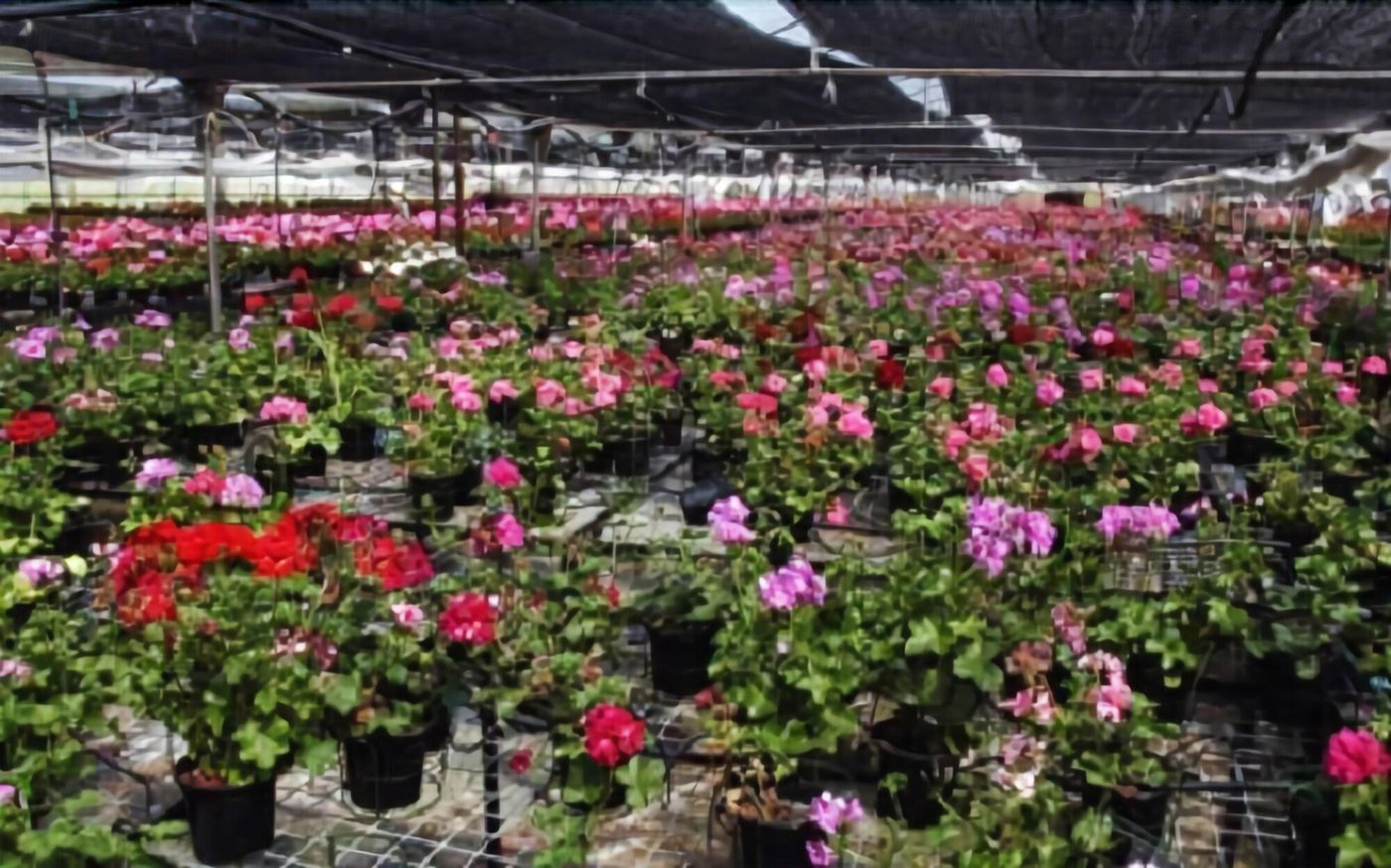 Agroturismo Ibarrondo Etxea-Spain-MUNGIA-General view-5